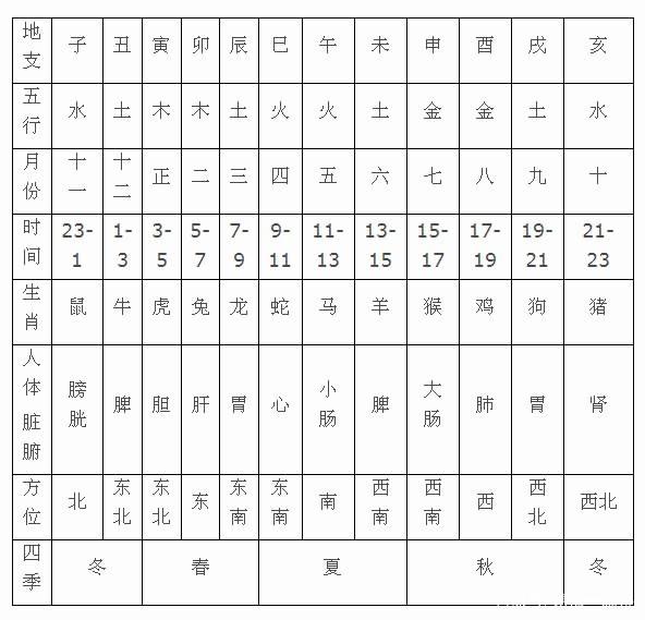 12天干地支