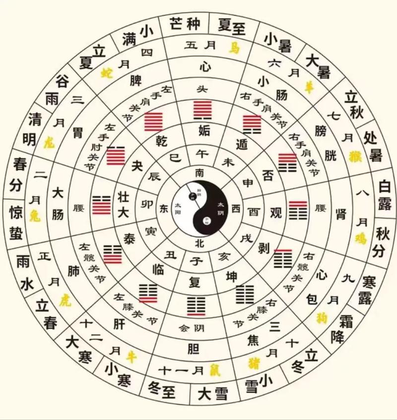 科普展现:地支五行属性（十二地支五行属性）