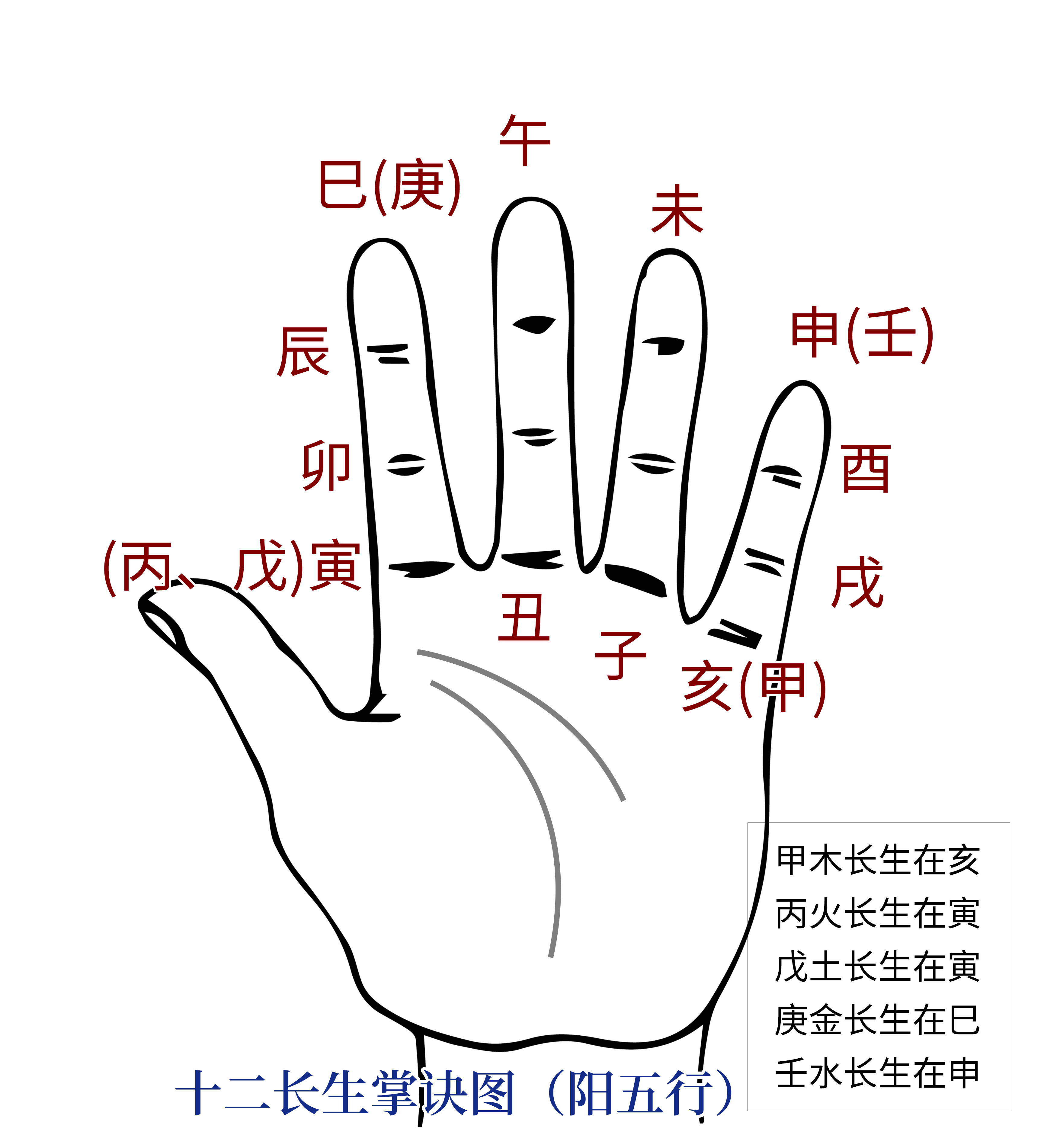 五行十二长生表