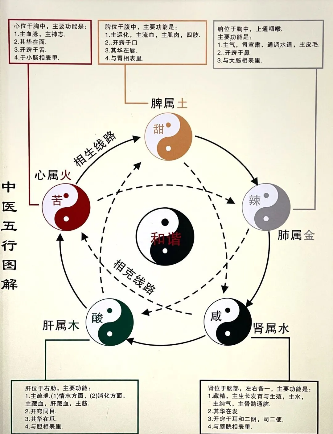 科普展现:华五行（华字最旺三个属相）