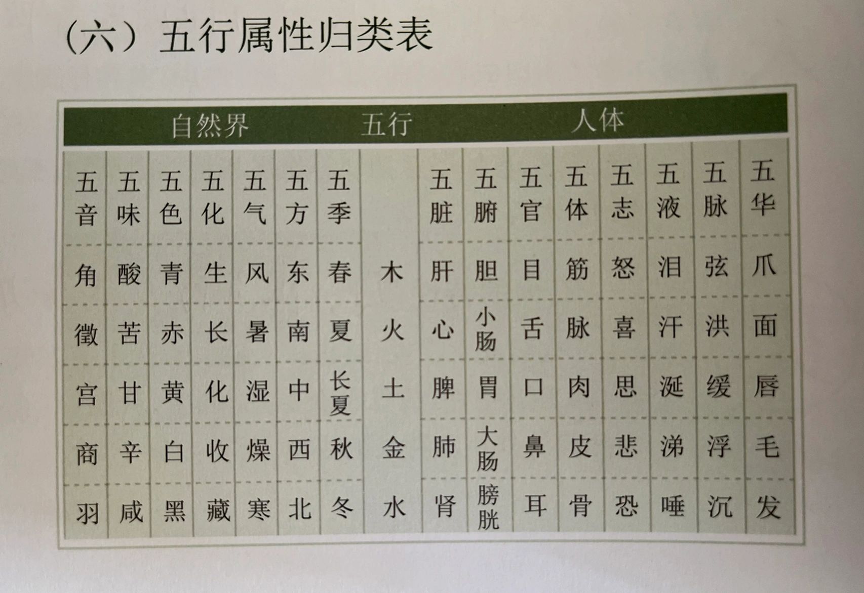 建五行属性什么