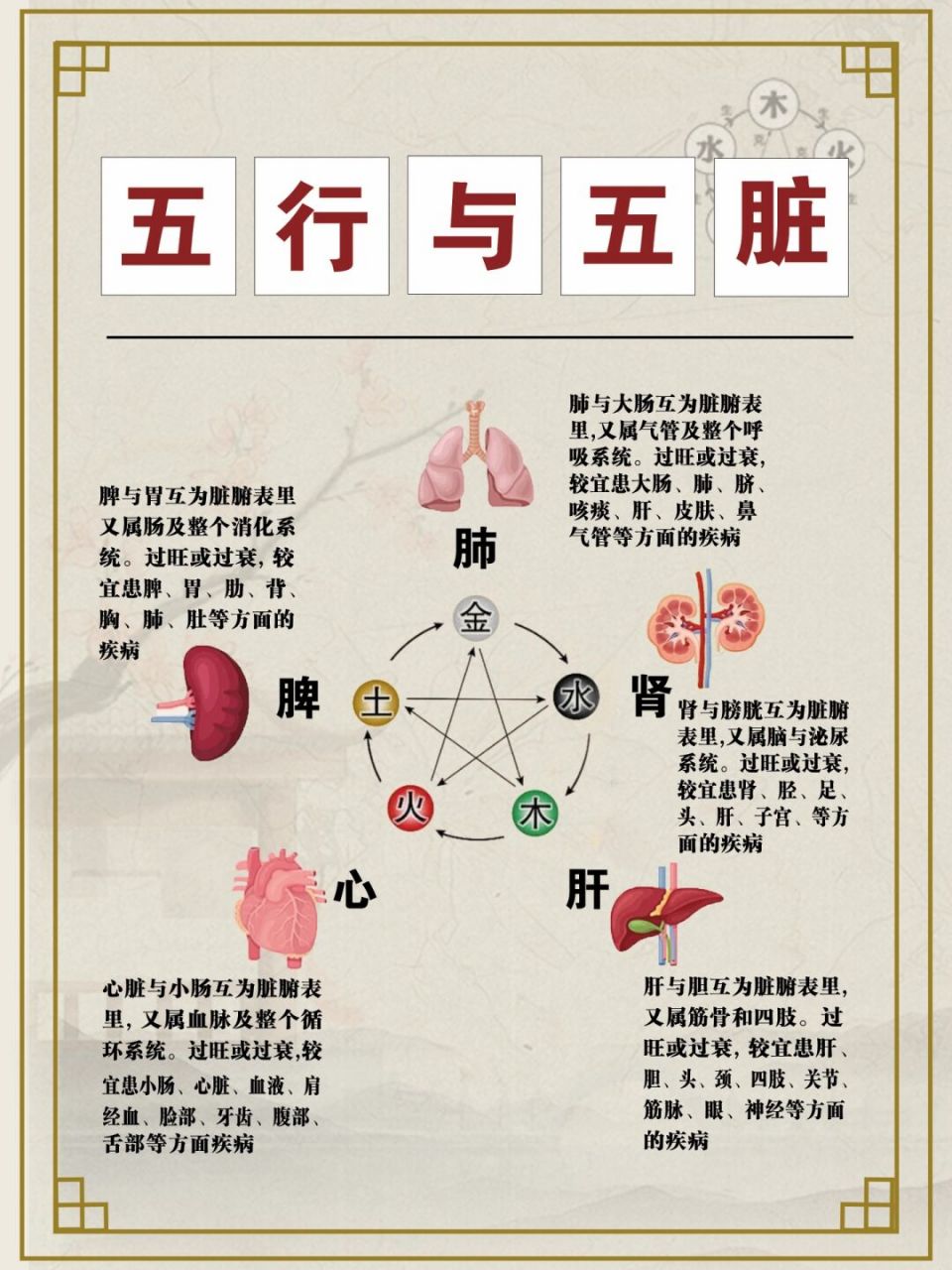 五脏对应五行