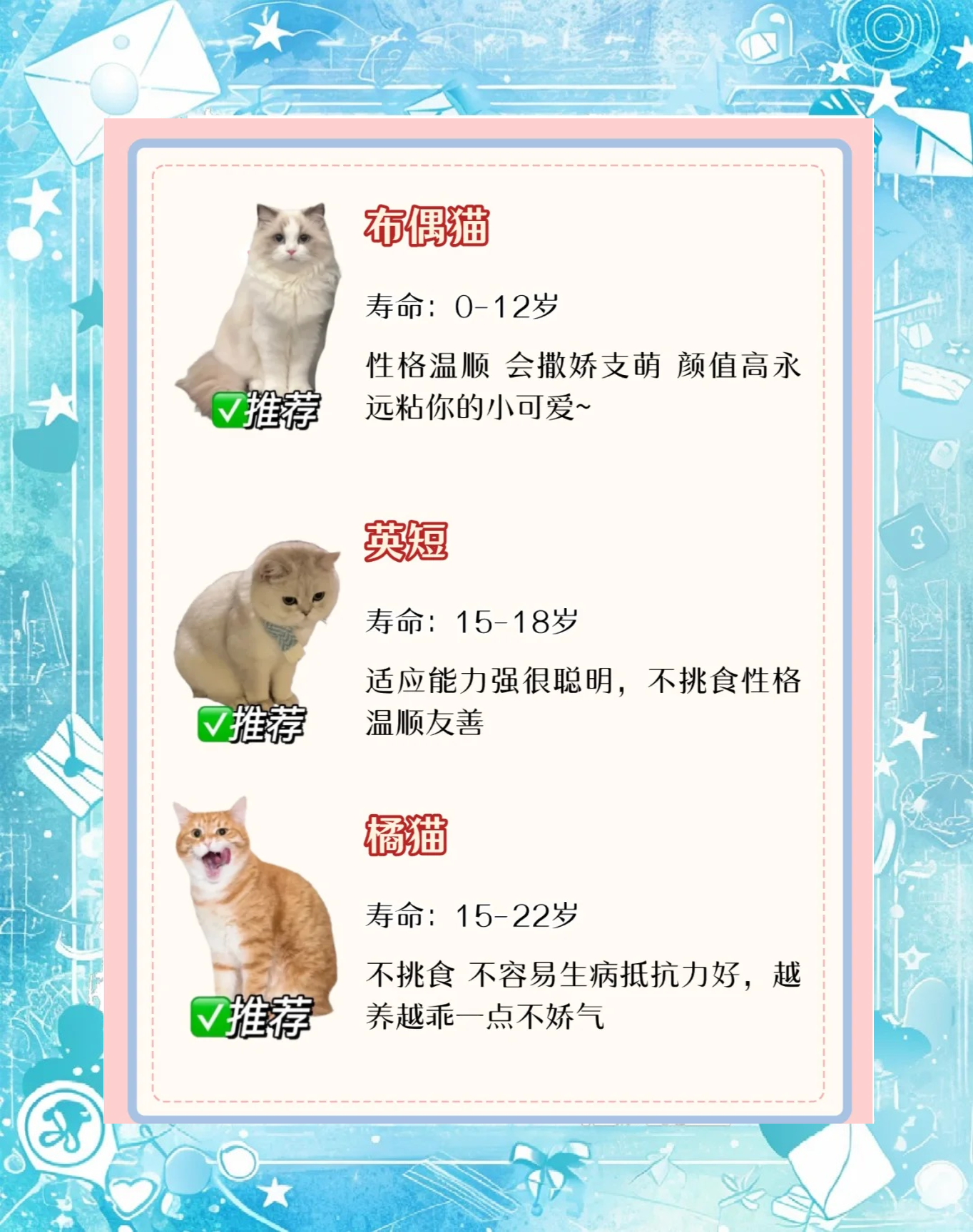 科普展现:猫平均寿命（美短猫平均寿命）