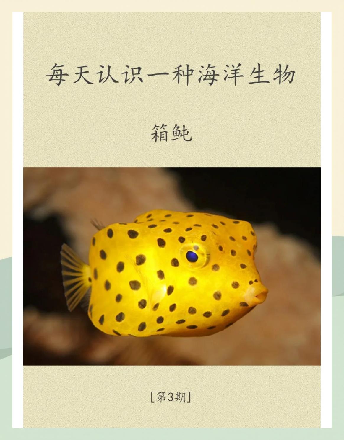 海洋生物名称