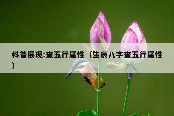 科普展现:查五行属性（生辰八字查五行属性）