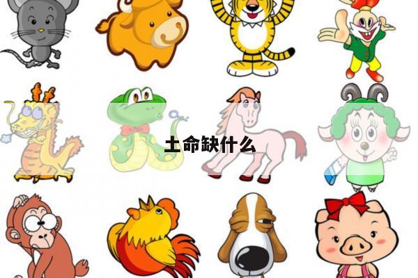 土命缺什么