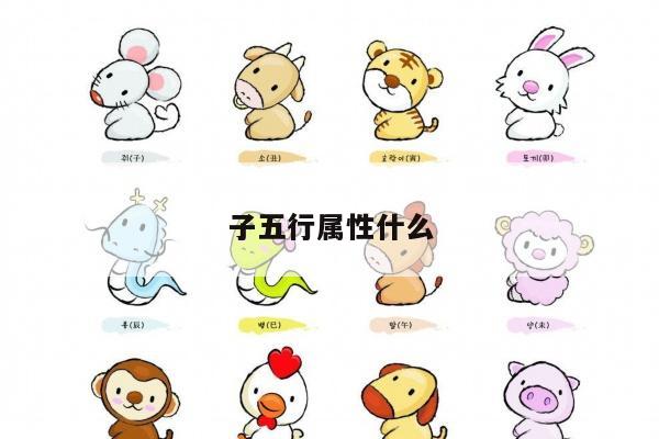 子五行属性什么