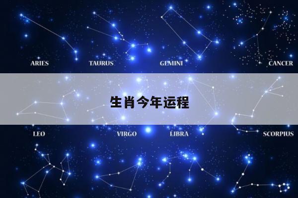 生肖今年运程