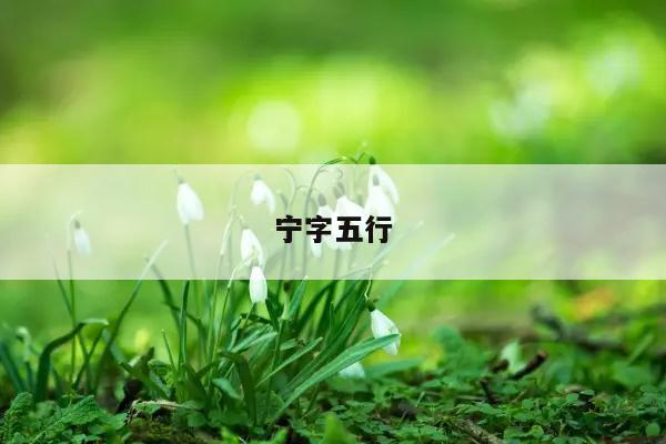五行 第4页