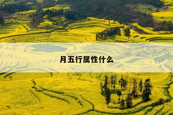 月五行属性什么