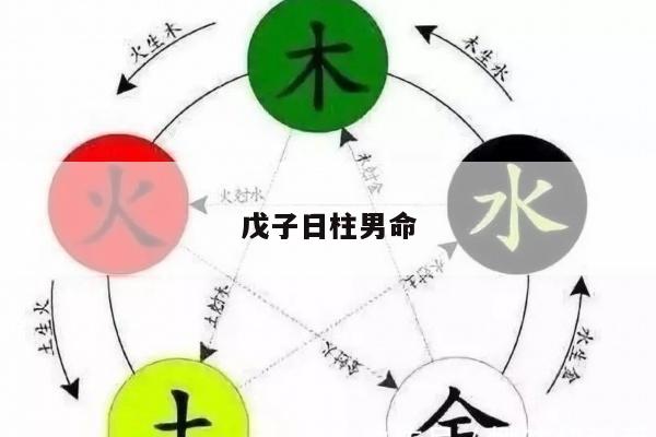 戊子日柱男命