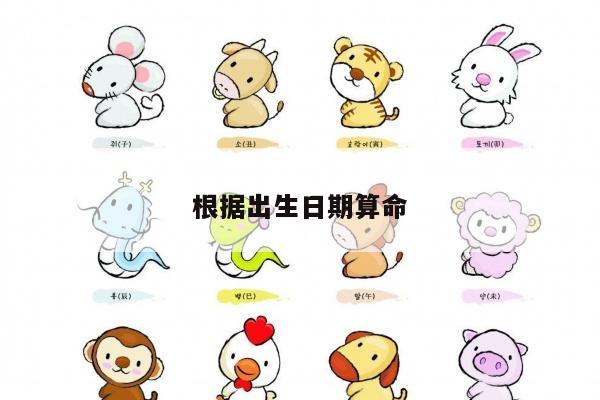 根据出生日期算命