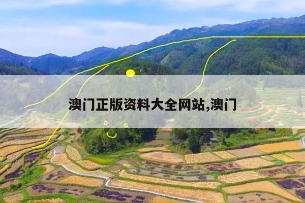 澳门正版资料大全网站,澳门