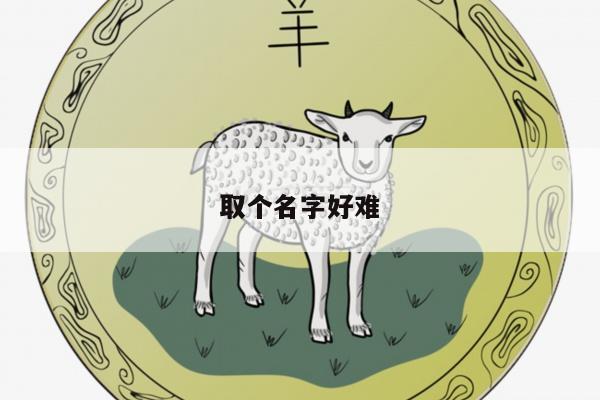 取个名字好难