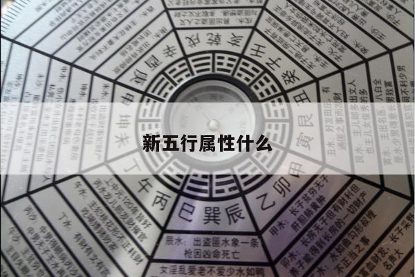 新五行属性什么