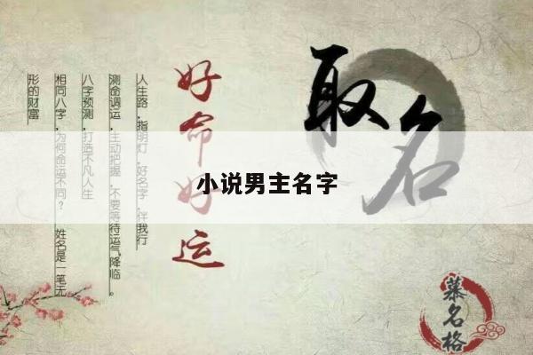 小说男主名字