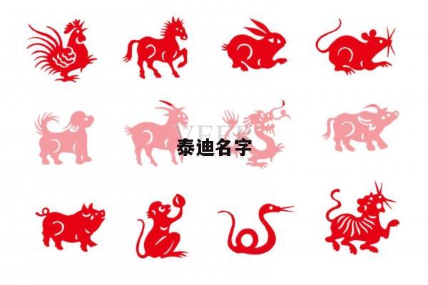 泰迪名字
