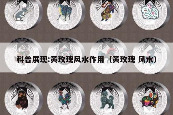 科普展现:黄玫瑰风水作用（黄玫瑰 风水）