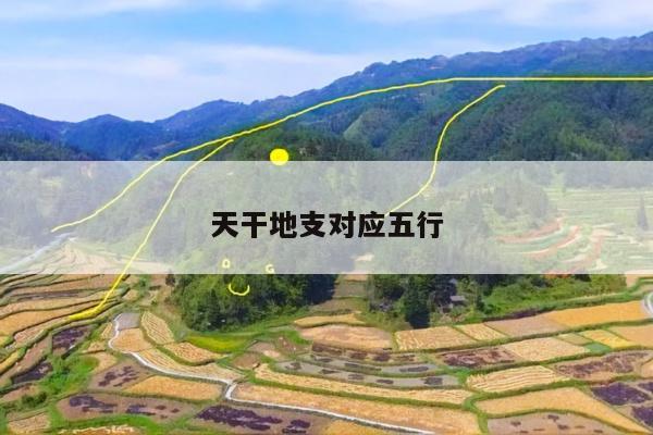 天干地支对应五行
