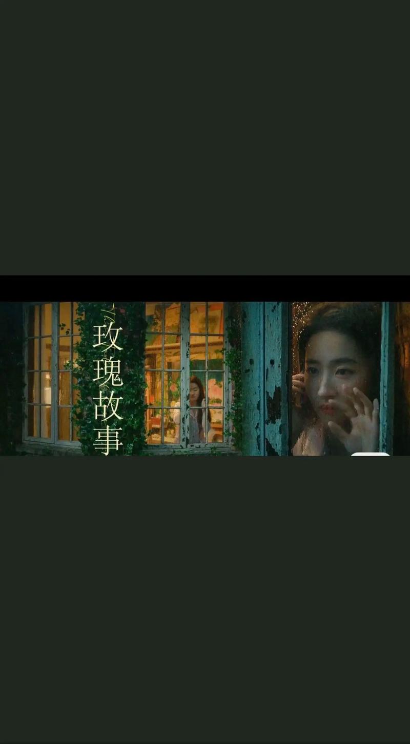 第40集高清免费观看,第40集高清免费观看玫瑰