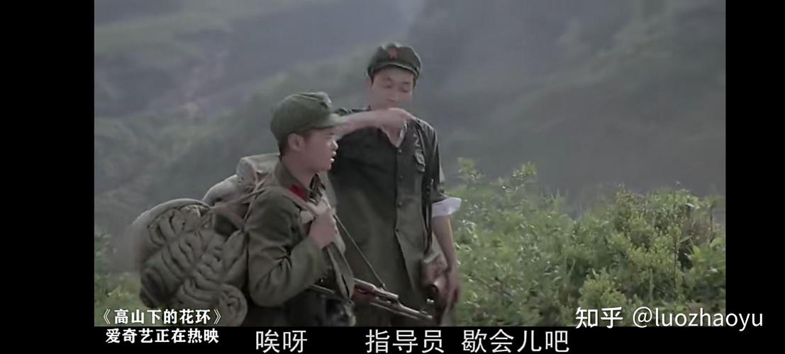 高山下的花环,高山下的花环高清电影在线观看完整版