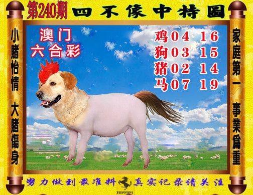 四肖中特期期准四免费公开资料,一肖中特期期准资料免费公开了
